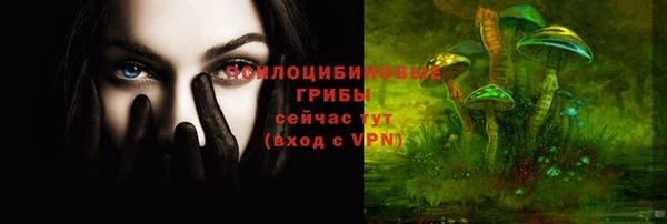 прущие грибы Алзамай