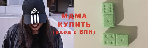 прущие грибы Алзамай