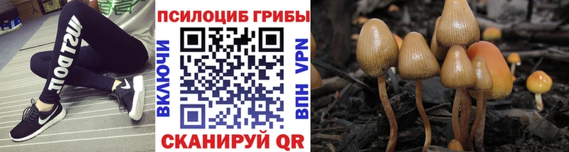 купить   Кировград  ОМГ ОМГ зеркало  Галлюциногенные грибы ЛСД 